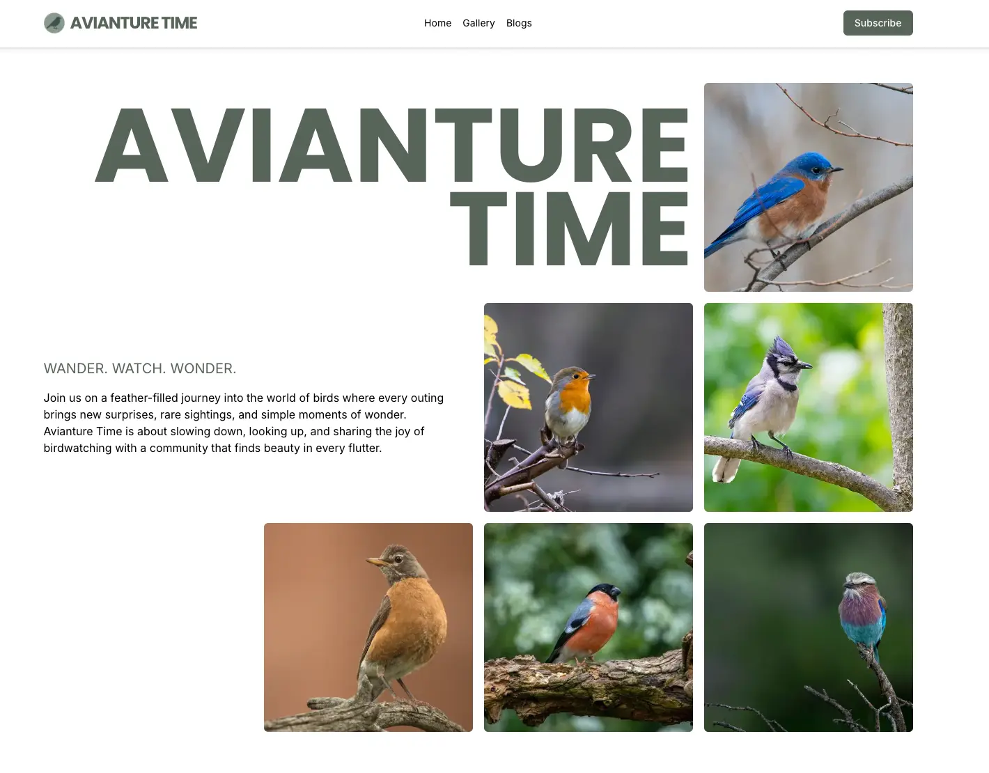 Avianture Time Landing Page