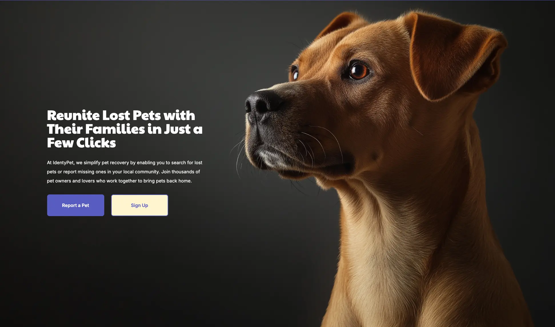 Wash & Wag of Culpeper Landing Page