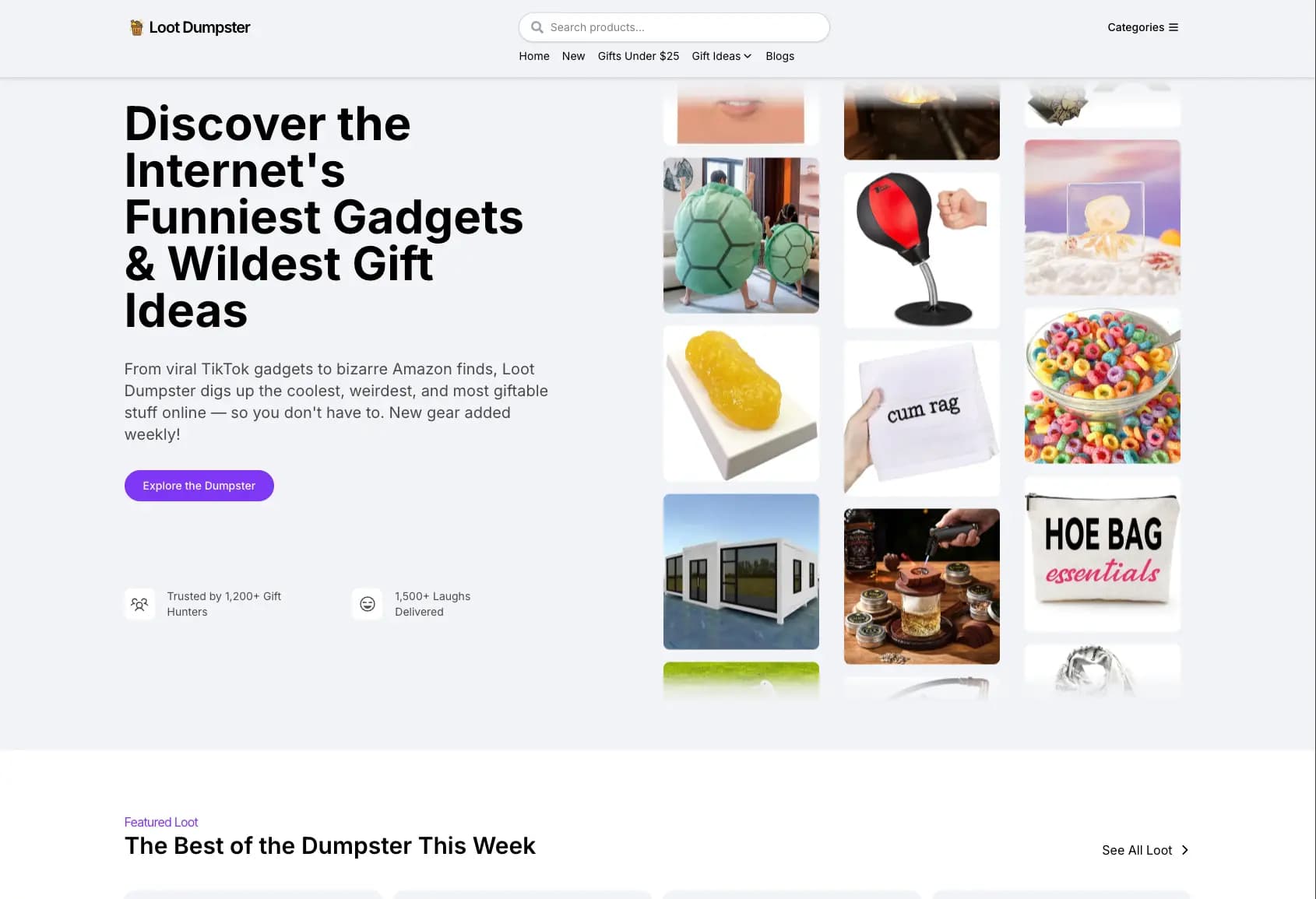 Loot Dumpster Landing Page