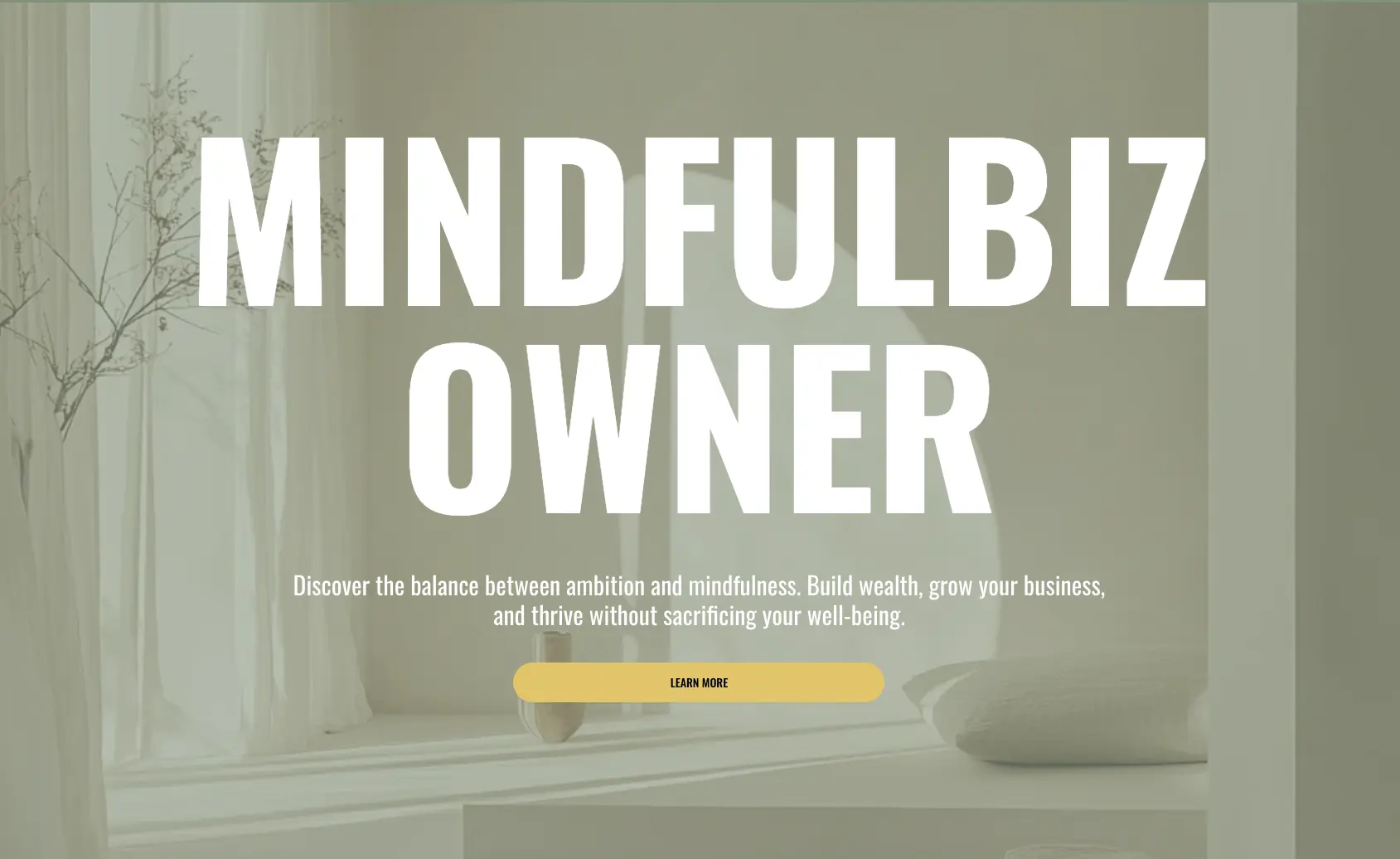 The MindfulBiz Owner Landing Page