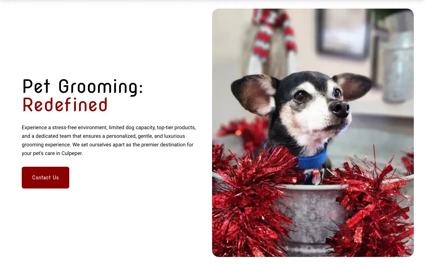 Wash & Wag of Culpeper Landing Page