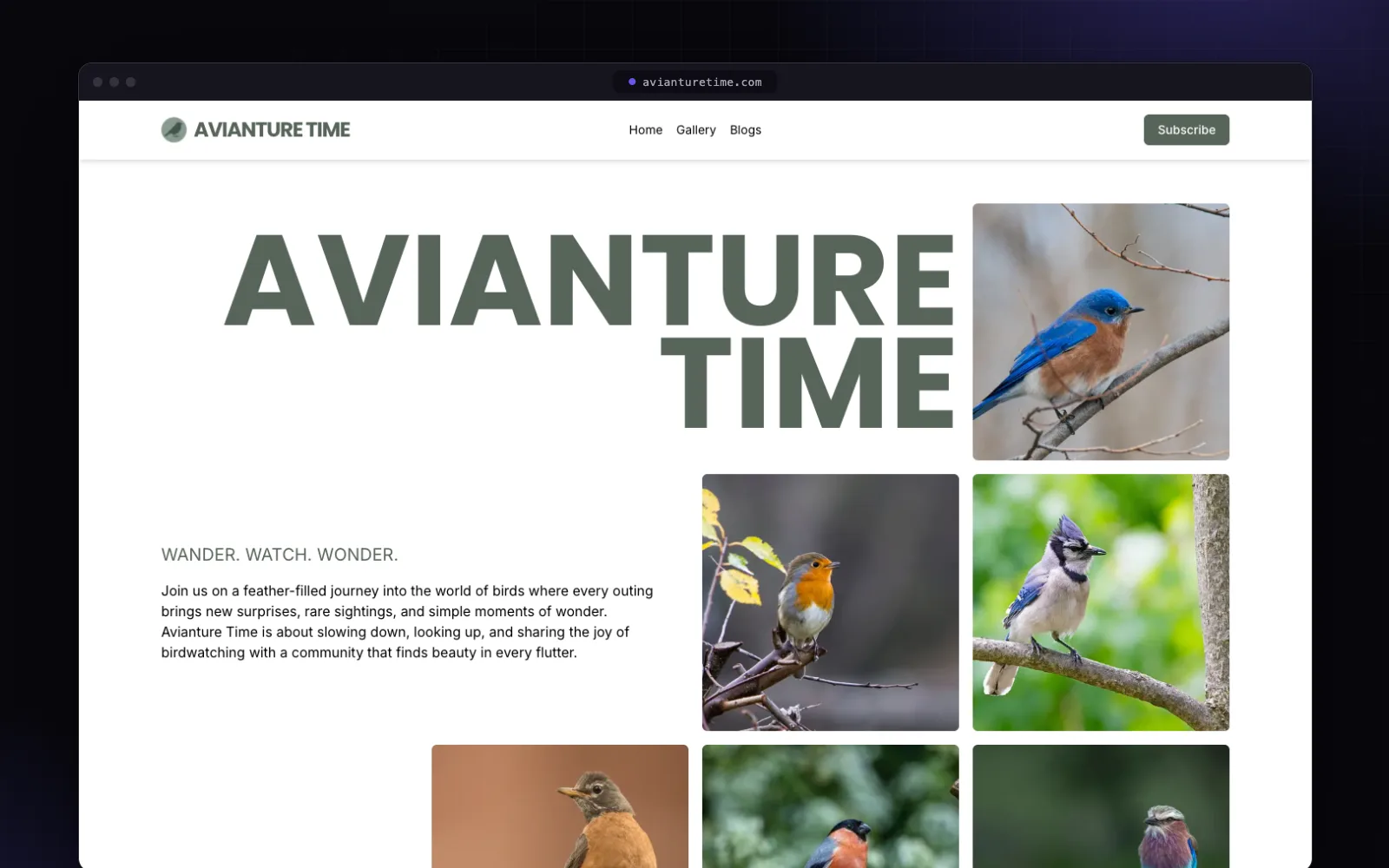 Avianture Time website built by FlashStep