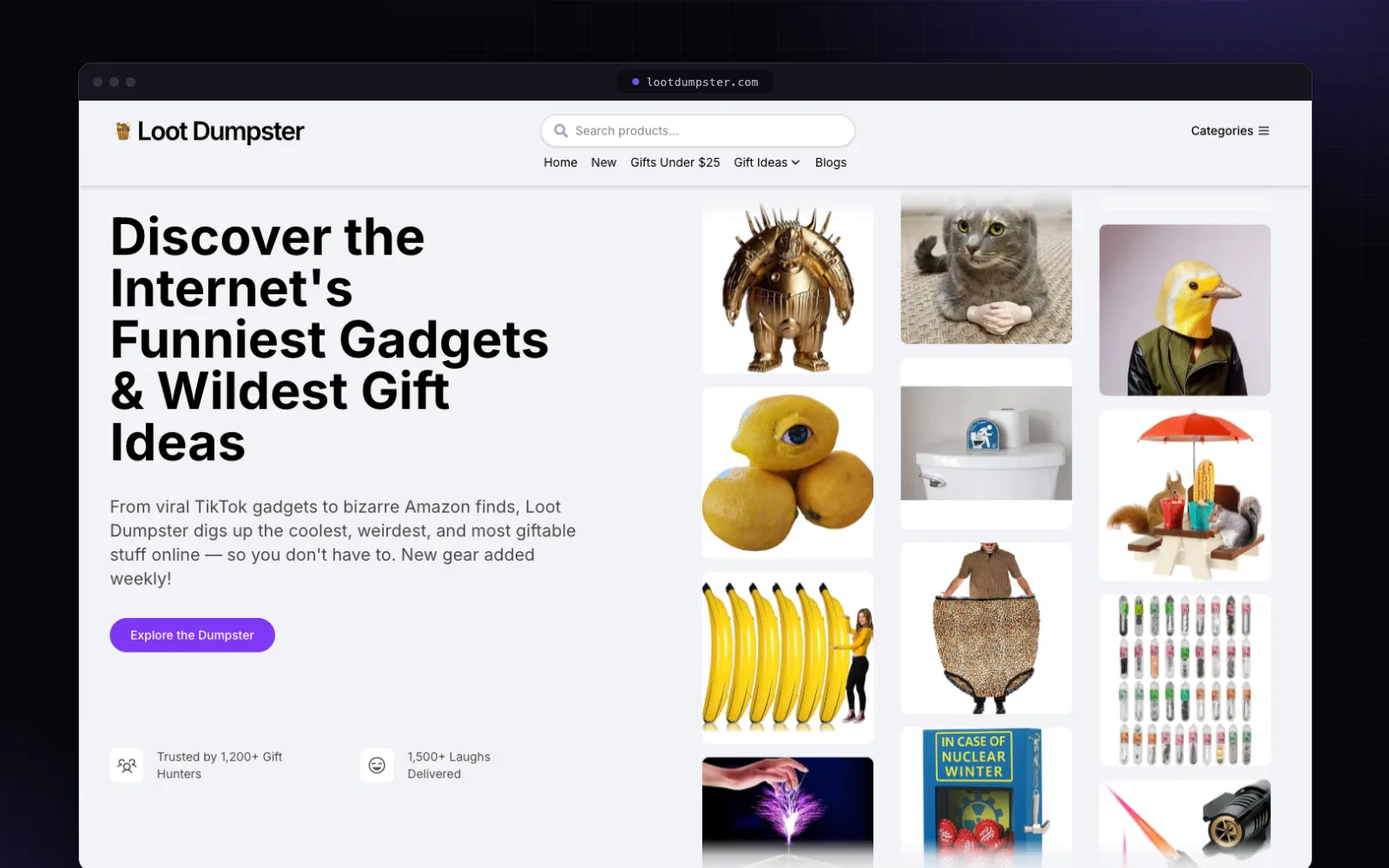 Loot Dumpster website built by FlashStep